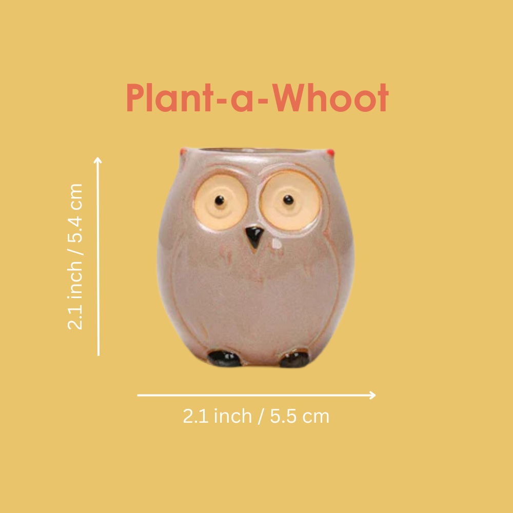 Cute Owl Ceramic Succulent Planter Pot- Buy 2 Free Shipping