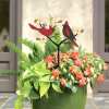 🔥Last Day 50% OFF - Redbird Garden Decoration