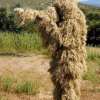 💥Ghillie Suit - Best Outdoor Gear (Free Shipping)