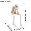 🔥Last Day Promotion 50% OFF🔥Skeleton Ornaments Sitting Skull Figurines