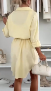 Women's Lapel Button Shirt Style Casual Dress