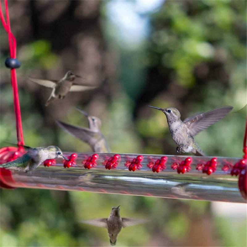 (🎉Mother's Day Sale 40%OFF) 2022 New Design Hummingbird Feeder-BUY 2 FREE SHIPPING