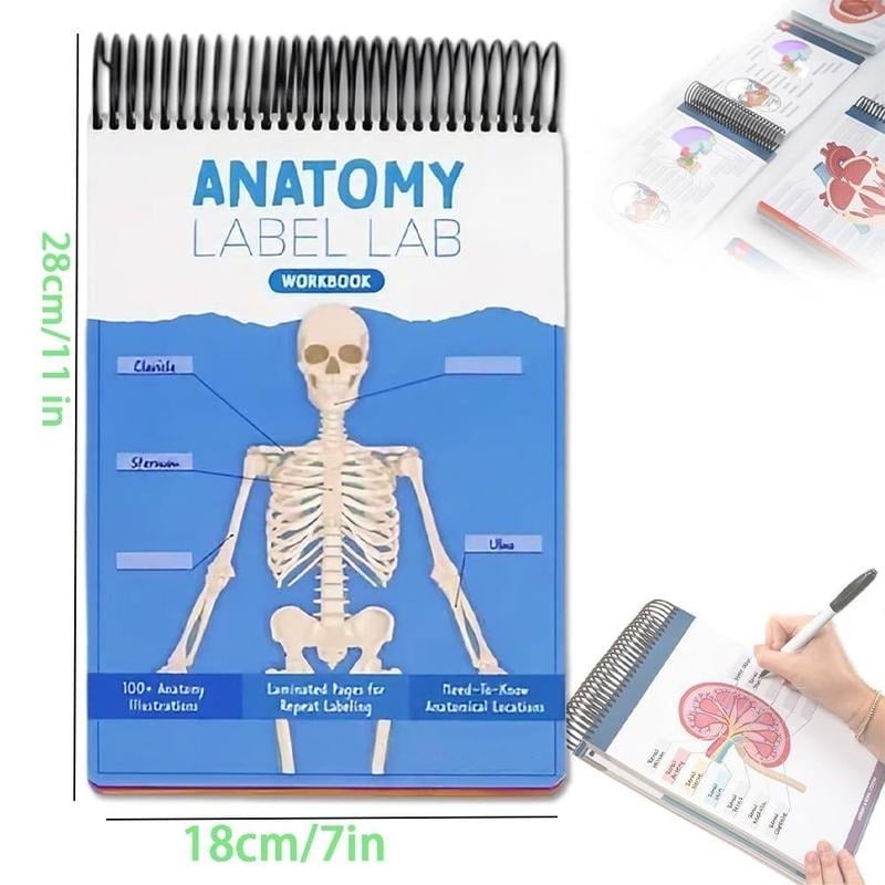 🔥Last Day 50% OFF - Anatomy Label Workbook 📘