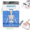🔥Last Day 50% OFF - Anatomy Label Workbook 📘