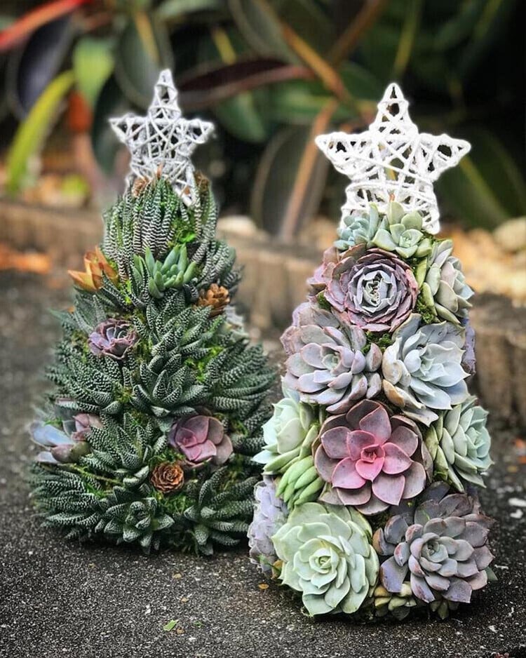 🎄Early Christmas 50% OFF🎄 2023 Siqular® Succulent Christmas Tree