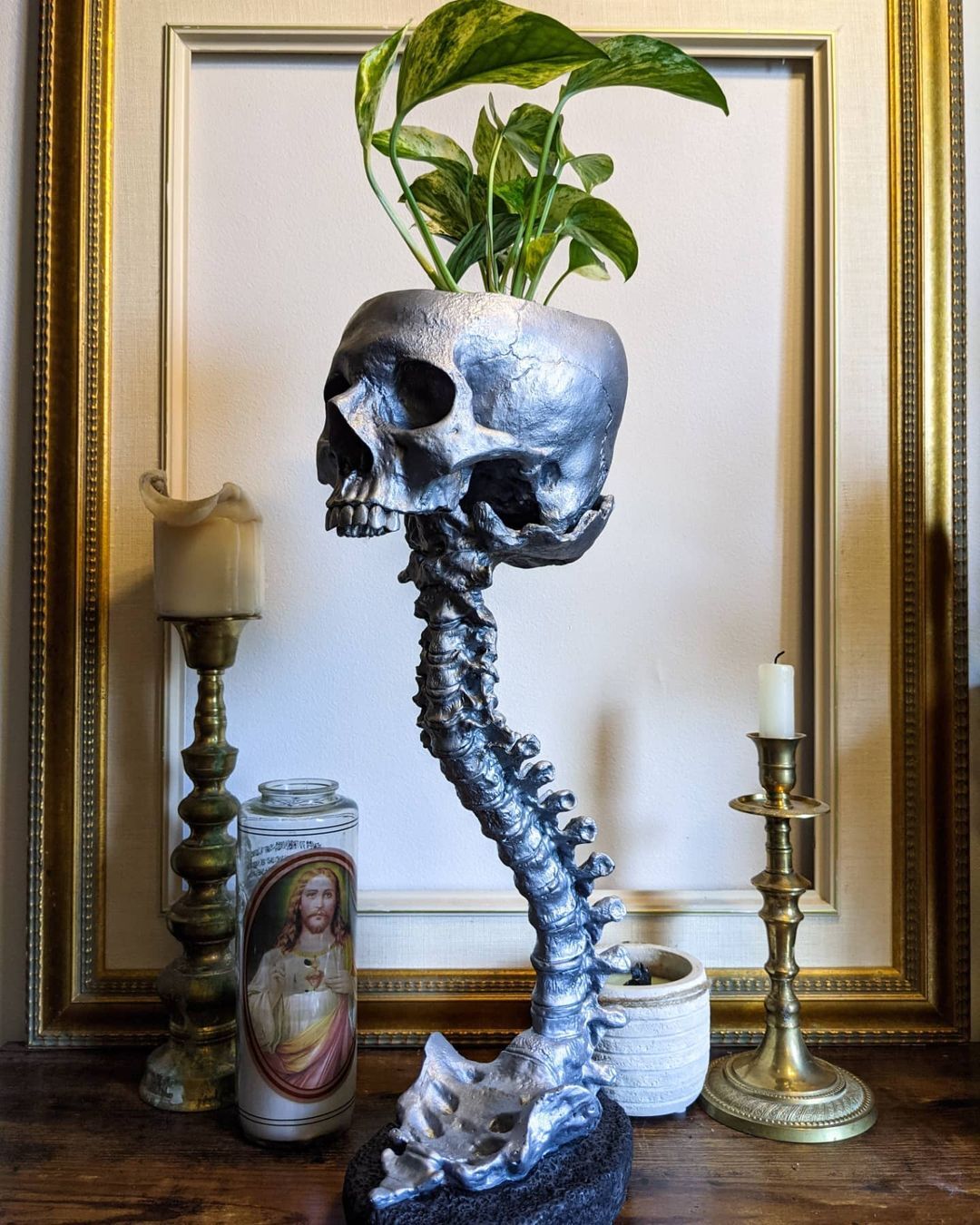Skull Planter & Spine Stand Sets