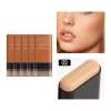 Hydrating Lightweight Foundation Stick with Brush