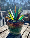 🔥Limited-time special offer-🌿tained Agave Plant