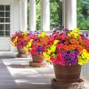 🌸 Spring Summer Home Decoration - 🌿 Fake Silk Colorful Morning Glory
