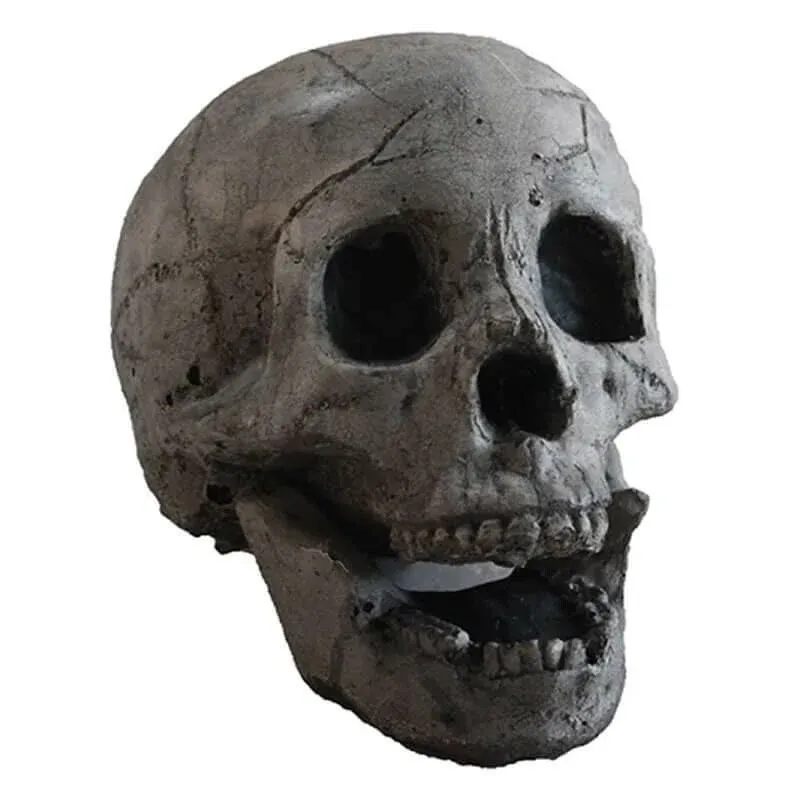 🎃Halloween Early Sale 50% OFF🔥Terrifying Human Skull Fire Pit💀