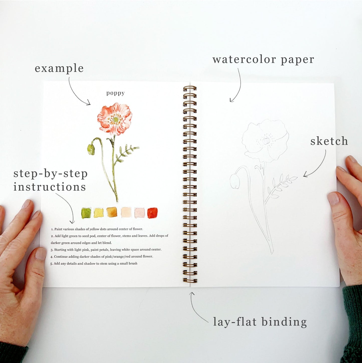 💐Flowers Watercolor Workbook