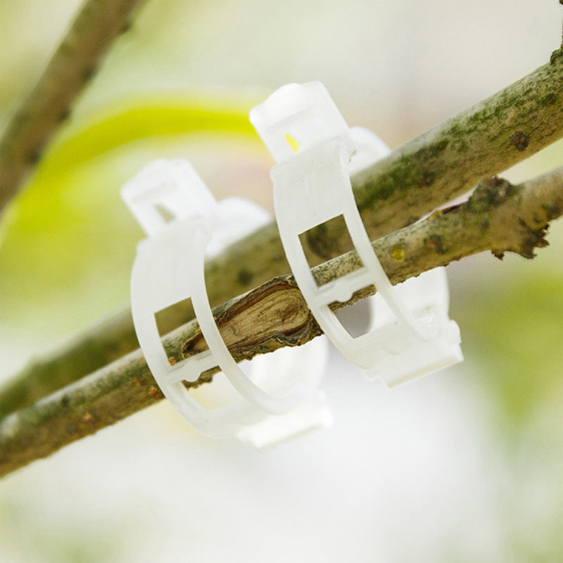 Last Day Promotion - 🔥Plant Support Clips