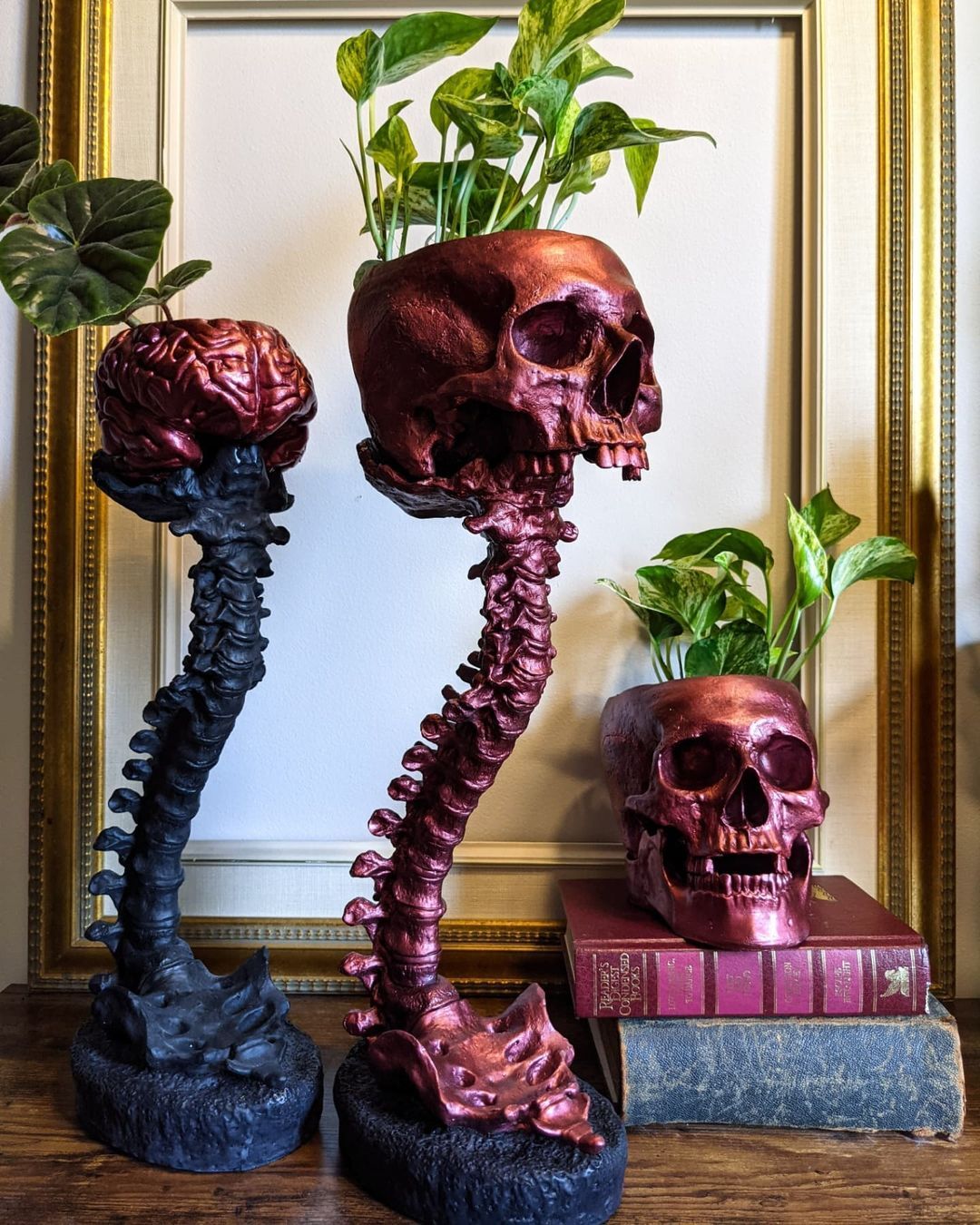 Skull Planter & Spine Stand Sets