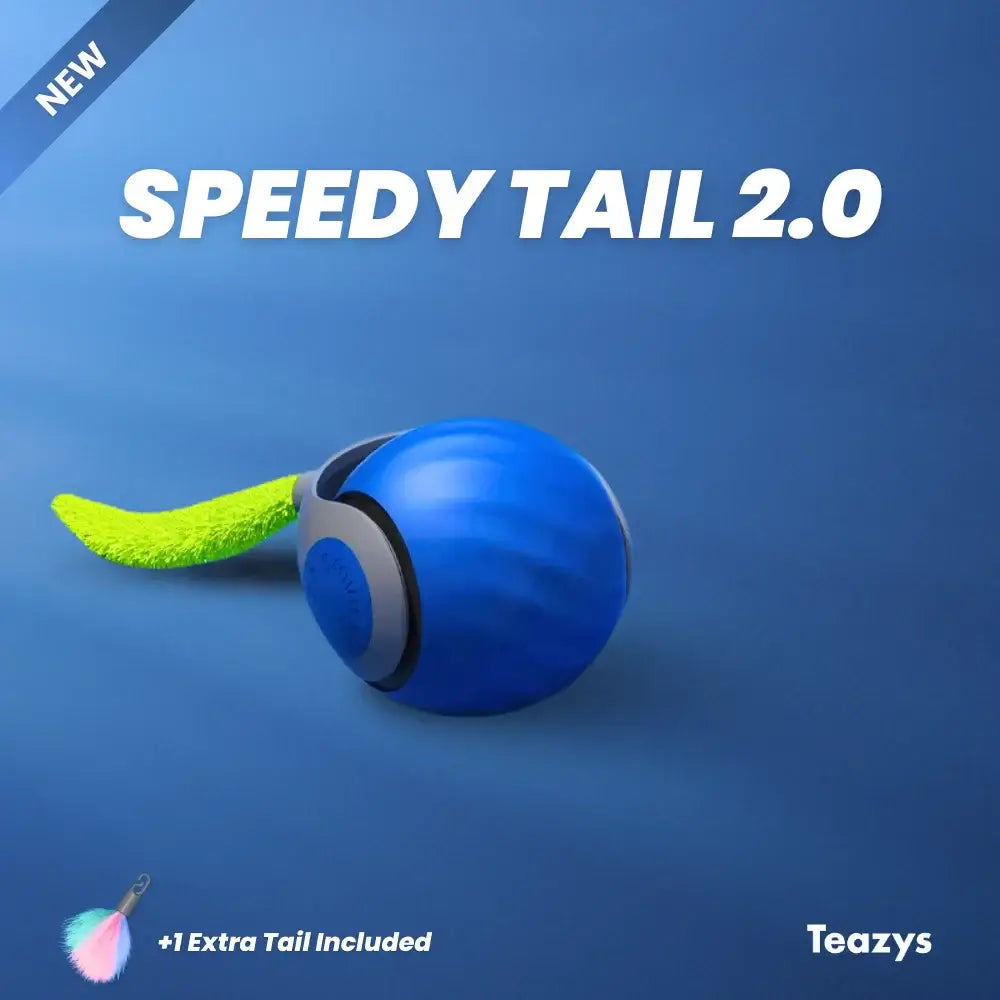 🔥Last Day Promotion 70% OFF🔥SPEEDY TAIL 2.0