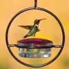 🐝Labor Day Deals: 50% OFF! Simple Slim Hummingbird Feeder