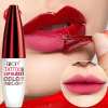 🔥Last Day Promotion 70% OFF🔥Tattoo Lip Gloss 4 Colors