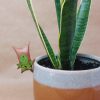 🔥Last Day: 50% Off! 🔥 Korok Pot Buddy