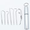 (💗Mother's Day Gift-40% OFF) Stainless Steel Toothpick Set(BUY 3 GET 2 FREE&FREE SHIPPING)