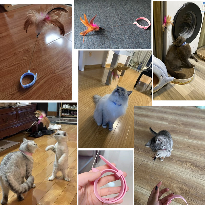 💖Interactive Funny Cat Toys