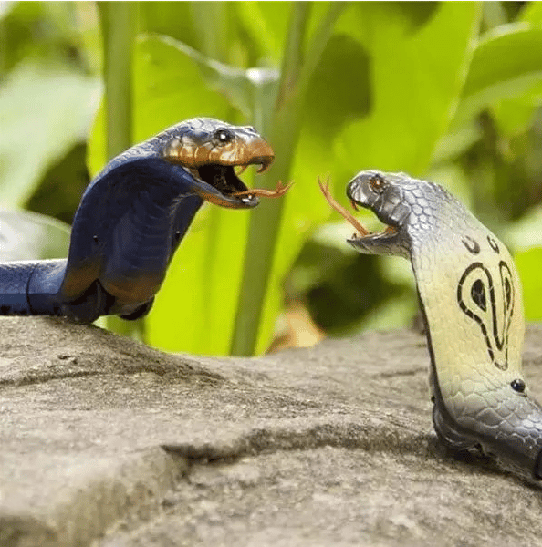 CHRISTMAS SALE-49% OFF - High Imitation Snake Animal Toy Funny Prank Toy - BUY 2 FREE SHIPPING