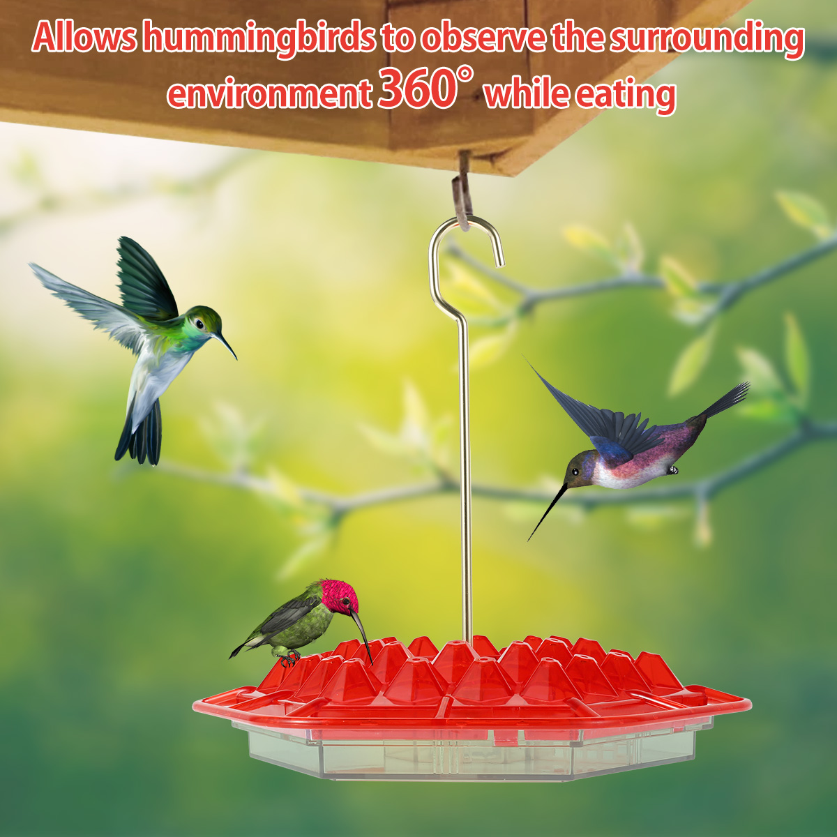Special Offer🦜-Hummingbird Feeder(BUY 2 FREE SHIPPING)