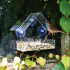 Mountable Clear Bird House, Buy 2 Free Shipping