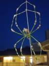 Garden Spider Ornament