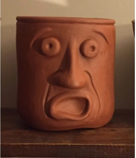 Flower pots decorated with a caricature of a face