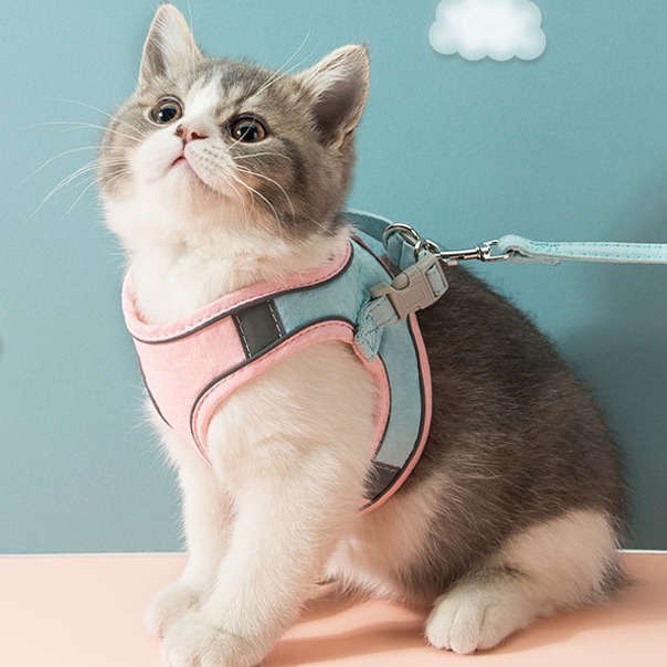 🎁Holiday Promotion🎉【Buy 2 Get Extra 10% OFF】Luminous Cat Vest Harness And Leash Set