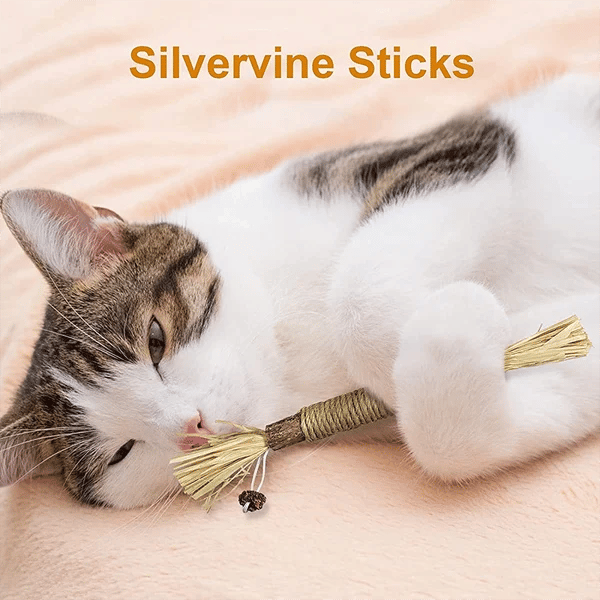 Natural Silvervine Sticks Cat Toys