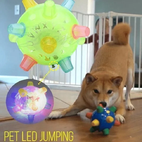 (🎄Christmas Sale🎄- 48% OFF) Jumping Activation Ball For Dogs And Cats (Buy 3 get 15% OFF & FREE SHIPPING)