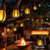⏰LAST DAY SALE 50% OFF💥Solar Waterproof Flame Light String