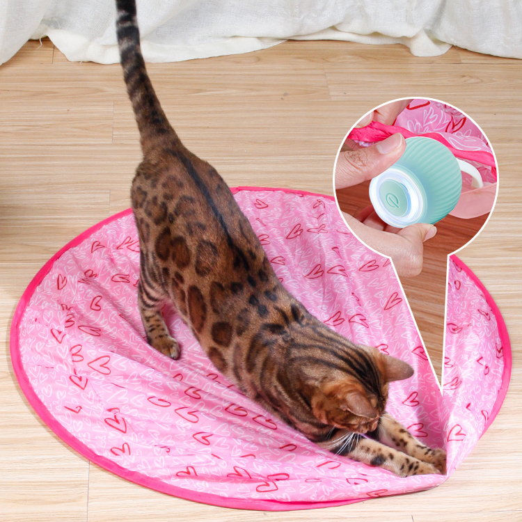⏰Clearance Blowout💥2 in 1 Simulated Interactive Hunting Cat Toy Set with Magic Balls