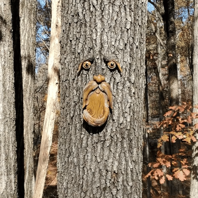 🔥Last Day Promotion 48% OFF-🌳-Unique Bird Feeders for Outdoors-Tree Face Bird Feeder