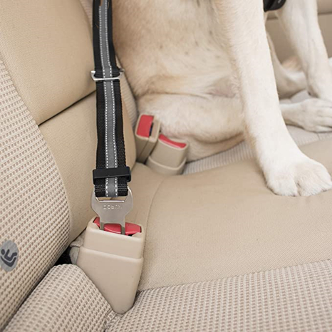 Early Christmas Sell 48% OFF- Pet Safe Seatbelt (BUY 2 GET 2 FREE)