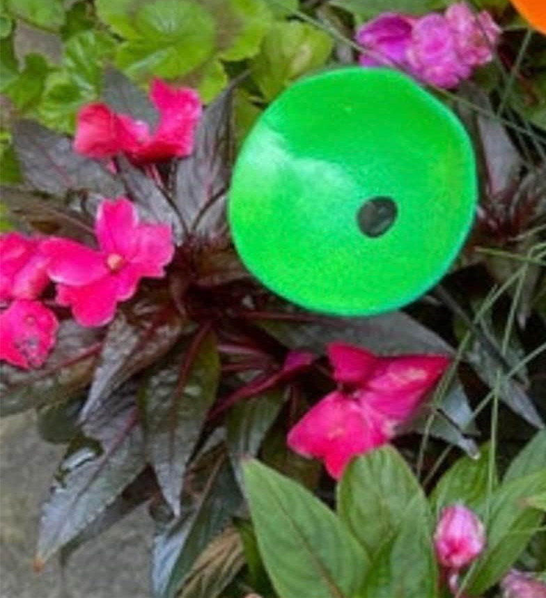 🐝Bee/Butterfly/Hummingbird  Watering Station🦋
