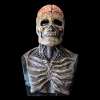 🔥Last Day Promotion - 60% OFF🎁🎃Creepy Biological Man Skeleton