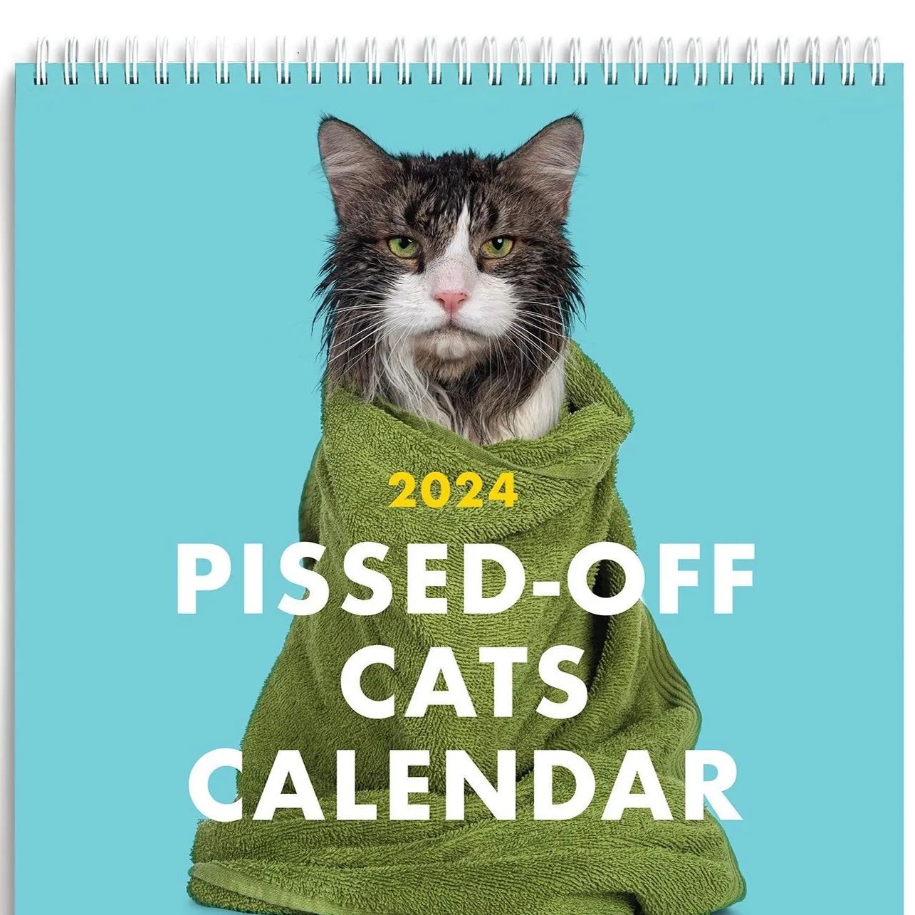 🎁Christmas Sale 50% OFF-2024 Pissed-Off Cats Calendar - Ferociously Funny