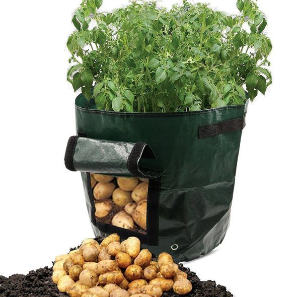 (SUMMER LIMITED TIME PROMOTION - 50% OFF) 10 Gallons Large Capacity Vegetables Grow Planter PE Container Bag