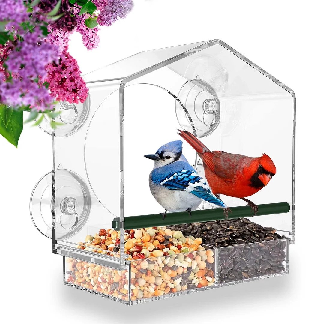 🌸Spring Sale Save 49%--Window Bird Feeder for Outside