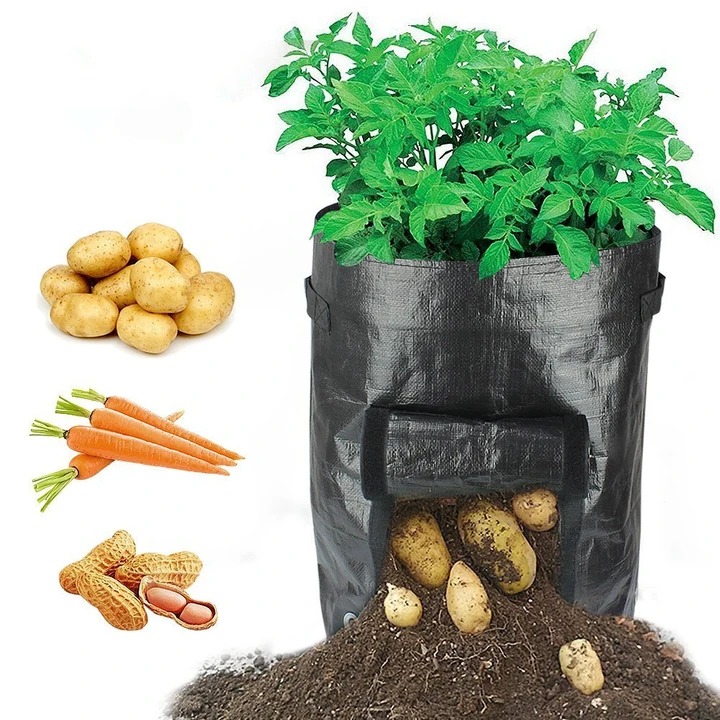 (SUMME SALE)50L Large Capacity Potato Grow Planter PE Container Bag- Buy 4 Free shippng