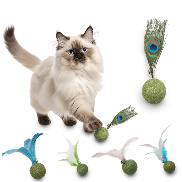 😻Cat's Favorite Toy🪶Feathered Catnip Balls-50% OFF