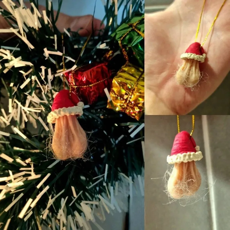 🎄TikTok  Christmas Sale - 70% OFF🎄Funny Egg Ornaments For Christmas🤣