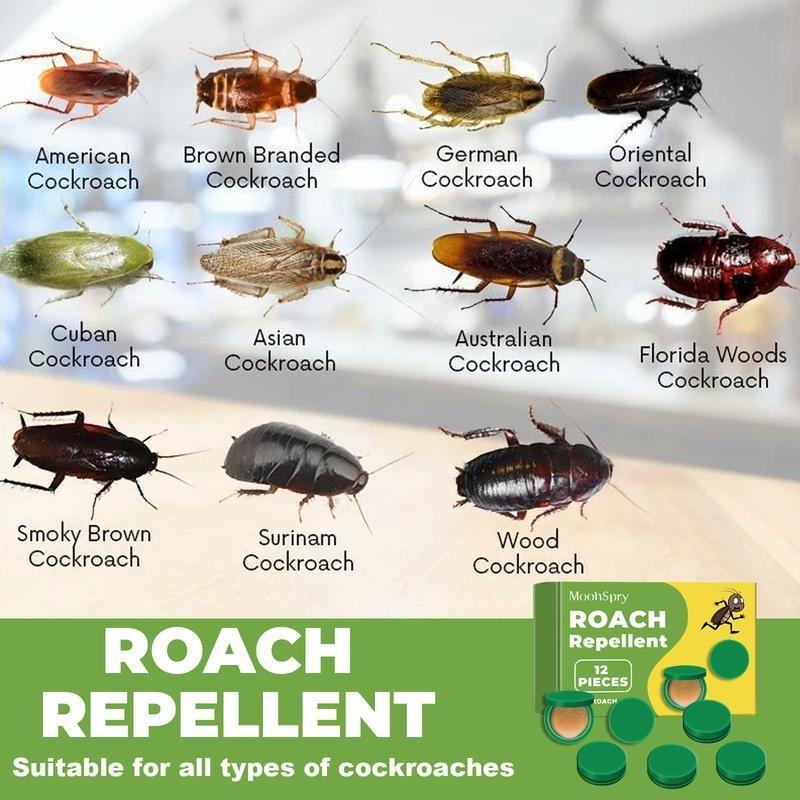Powerful Cleaning Cockroach Exterminator