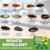 Powerful Cleaning Cockroach Exterminator