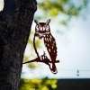 🔥Metal Art Proudly-Outdoor Tree Ornaments in Corten Steel