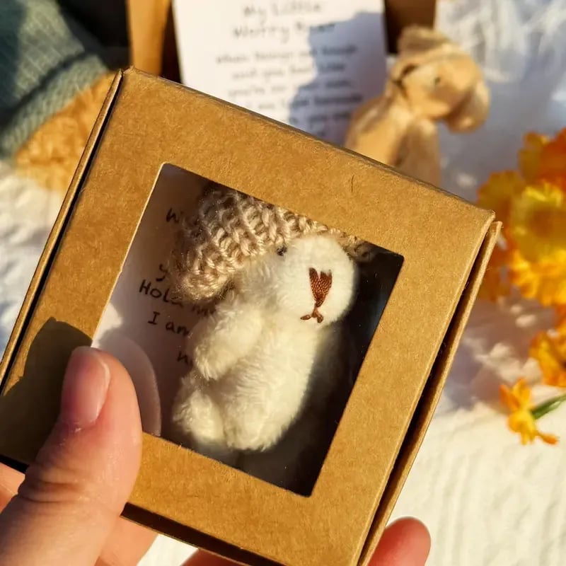 ⏰LAST DAY SALE 50% OFF🎁Handmade Mini Plush Teddy Bear in Box