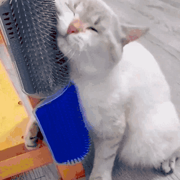 (🌲Early Christmas Sale- 49% OFF) Corner Massage Cat Brush - BUY A Set GET EXTRA 30% OFF & Free Shipping