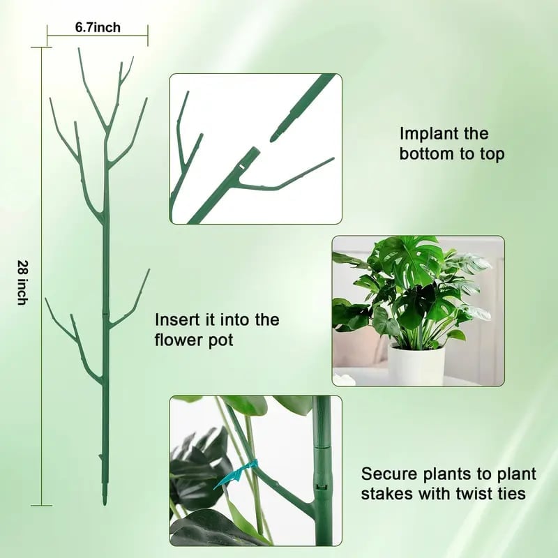 ⏰LAST DAY SALE 50% OFF💥5 pack Plant Support Stakes⚡Buy 2 Free Shipping