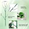 ⏰LAST DAY SALE 50% OFF💥5 pack Plant Support Stakes⚡Buy 2 Free Shipping
